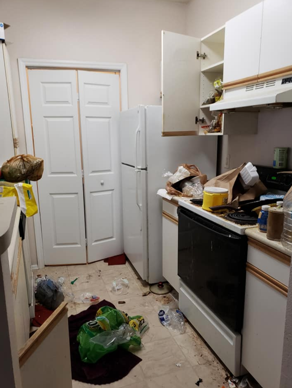 Before: Kitchen Appliances